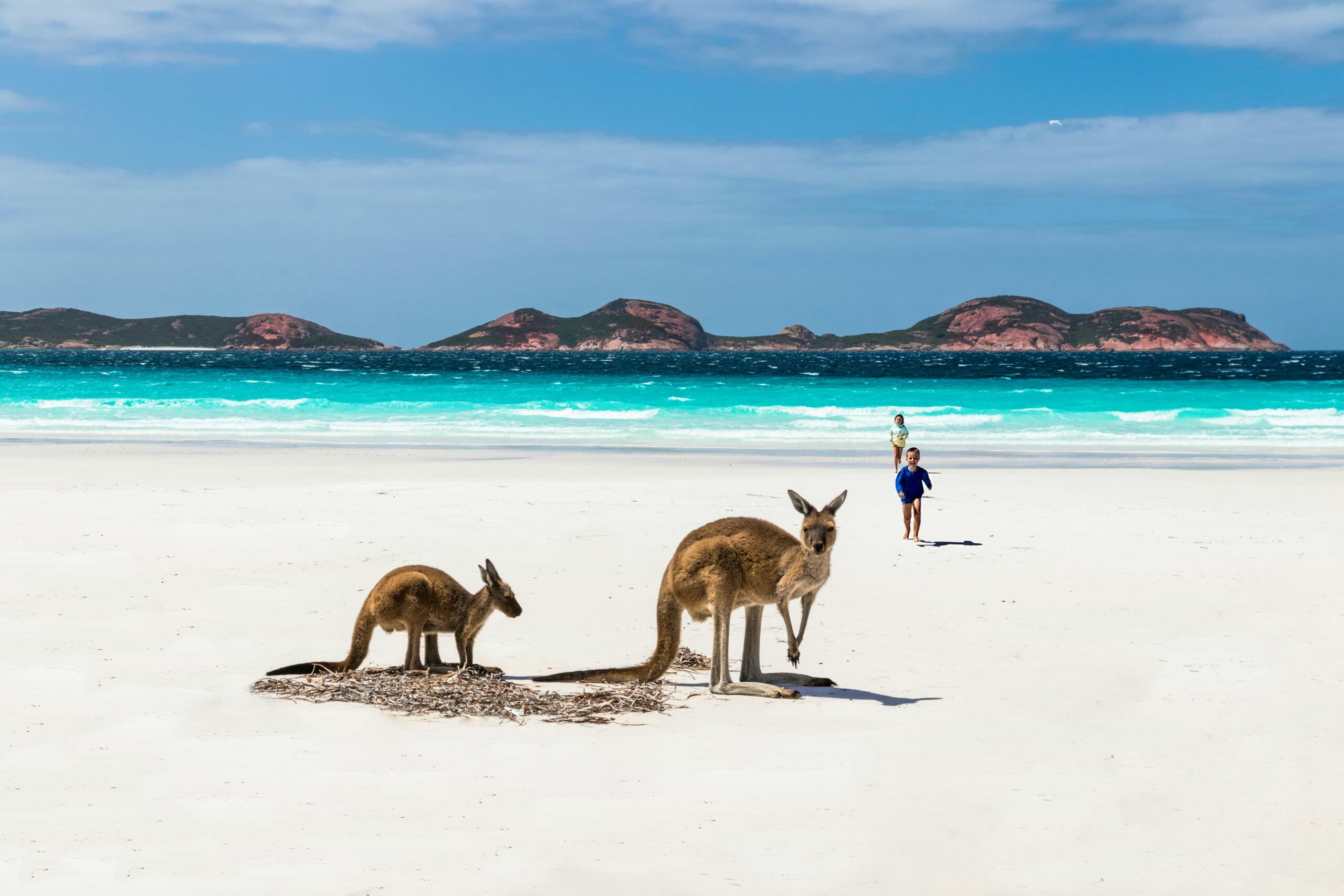 Mon premier job en Australie !
